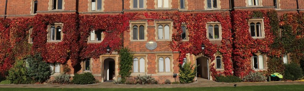 Old Court